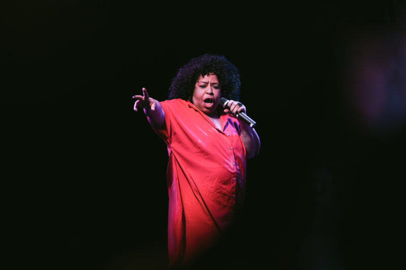 Die Viennese Ladies live im Metropol Wien – energiegeladener Auftritt mit viel Bühnenpräsenz (Foto: Capture The Show)